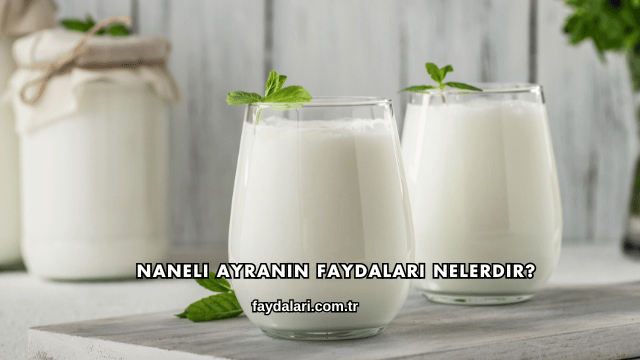Naneli Ayranın Faydaları Nelerdir?