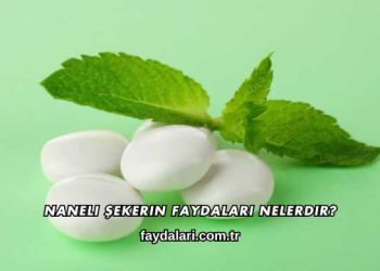 Naneli Şekerin Faydaları Nelerdir?