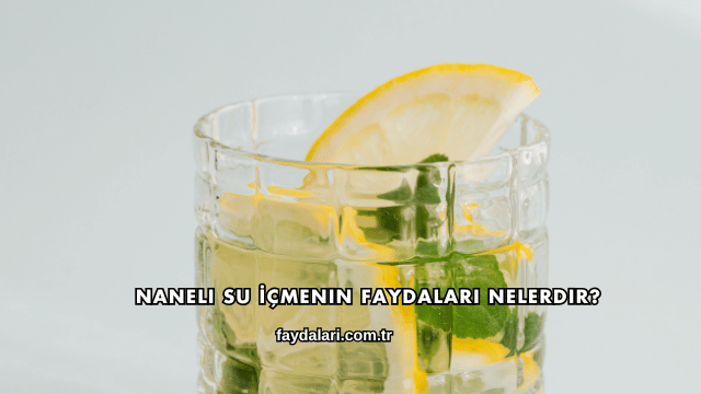 Naneli Su İçmenin Faydaları Nelerdir?