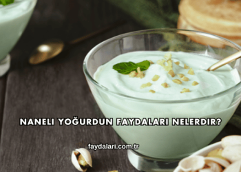 Naneli Yoğurdun Faydaları Nelerdir?