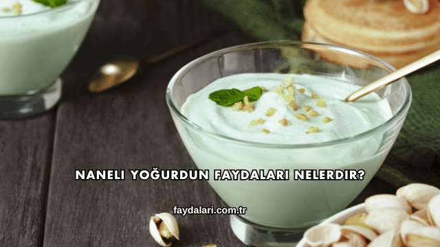 Naneli Yoğurdun Faydaları Nelerdir?