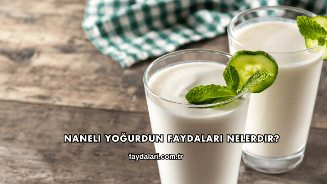 Naneli Yoğurdun Faydaları Nelerdir?