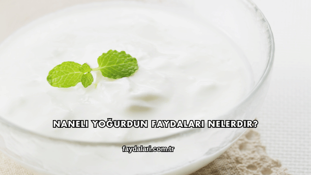 Naneli Yoğurdun Faydaları Nelerdir?