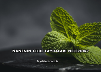Nanenin Cilde Faydaları Nelerdir?
