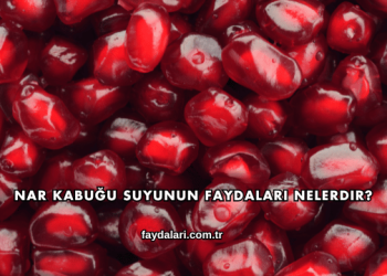 Nar Kabuğu Suyunun Faydaları Nelerdir?