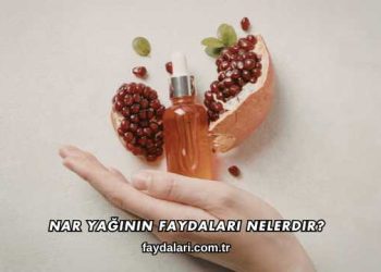 Nar Yağının Faydaları Nelerdir?