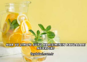 Nar ve Limon Suyu Karışımının Faydaları Nelerdir?