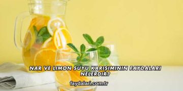 Nar ve Limon Suyu Karışımının Faydaları Nelerdir?
