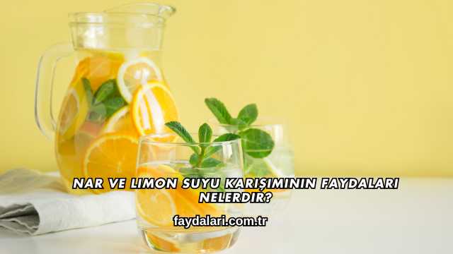 Nar ve Limon Suyu Karışımının Faydaları Nelerdir?
