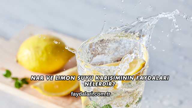 Nar ve Limon Suyu Karışımının Faydaları Nelerdir?