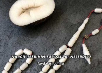 Narçıl Tesbihin Faydaları Nelerdir?