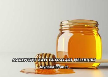 Narenciye Balı Faydaları Nelerdir?