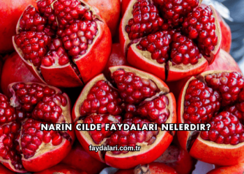 Narın Cilde Faydaları Nelerdir?