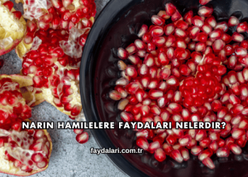 Narın Hamilelere Faydaları Nelerdir?