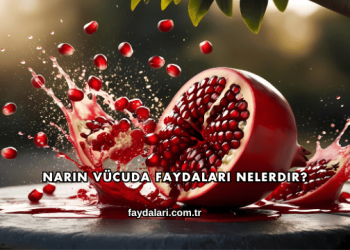 Narın Vücuda Faydaları Nelerdir?