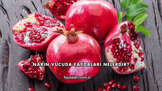 Narın Vücuda Faydaları Nelerdir?