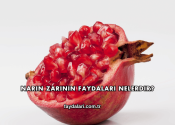 Narın Zarının Faydaları Nelerdir?