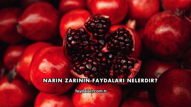 Narın Zarının Faydaları Nelerdir?