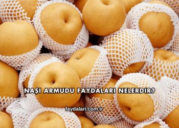 Naşi Armudu Faydaları Nelerdir?