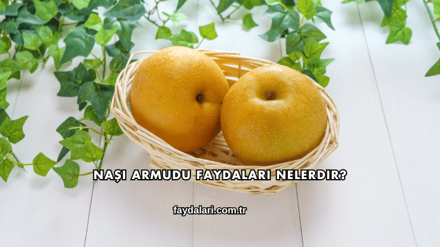 Naşi Armudu Faydaları Nelerdir?