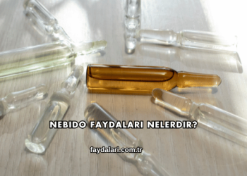 Nebido Faydaları Nelerdir?