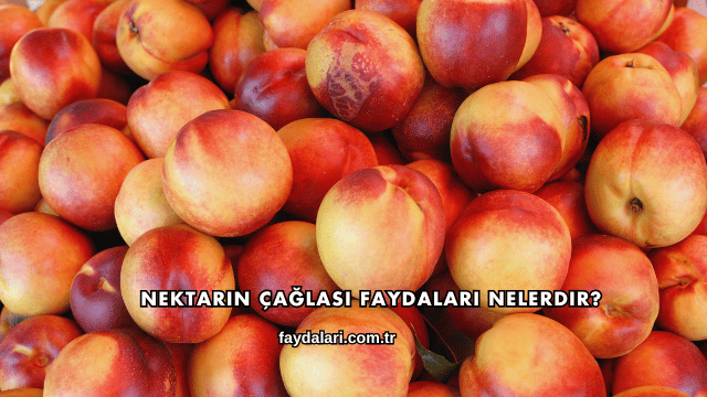 Nektarin Çağlası Faydaları Nelerdir?