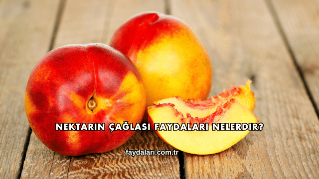 Nektarin Çağlası Faydaları Nelerdir?