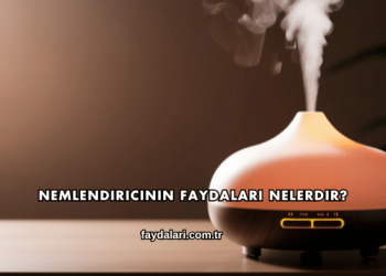 Nemlendiricinin Faydaları Nelerdir?