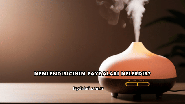 Nemlendiricinin Faydaları Nelerdir?