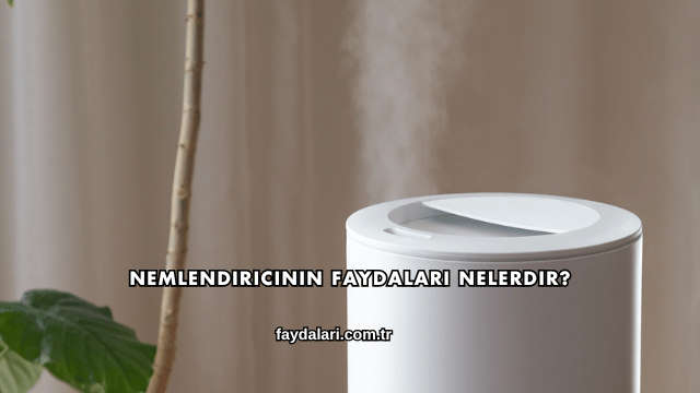 Nemlendiricinin Faydaları Nelerdir?