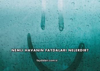 Nemli Havanın Faydaları Nelerdir?