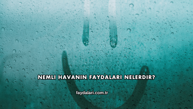 Nemli Havanın Faydaları Nelerdir?