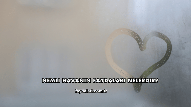 Nemli Havanın Faydaları Nelerdir?
