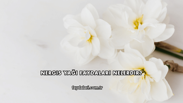Nergis Yağı Faydaları Nelerdir?