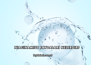 Niacinamide Faydaları Nelerdir?