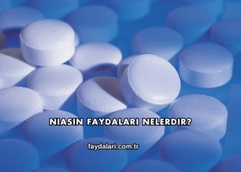 Niasin Faydaları Nelerdir?