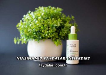 Niasinamid Faydaları Nelerdir?