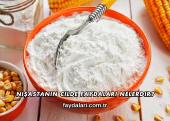 Nişastanın Cilde Faydaları Nelerdir?