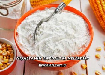 Nişastanın Faydaları Nelerdir?