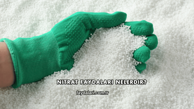 Nitrat Faydaları Nelerdir?