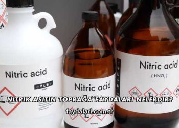 Nitrik Asitin Toprağa Faydaları Nelerdir?