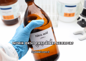 Nitrik Oksit Faydaları Nelerdir?