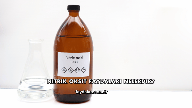 Nitrik Oksit Faydaları Nelerdir?
