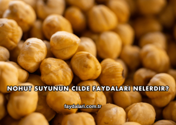 Nohut Suyunun Cilde Faydaları Nelerdir?