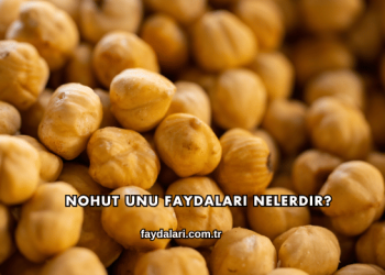 Nohut Unu Faydaları Nelerdir?