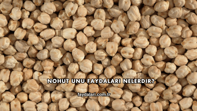 Nohut Unu Faydaları Nelerdir?