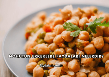 Nohutun Erkeklere Faydaları Nelerdir?