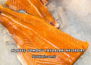 Norveç Somonu Faydaları Nelerdir?