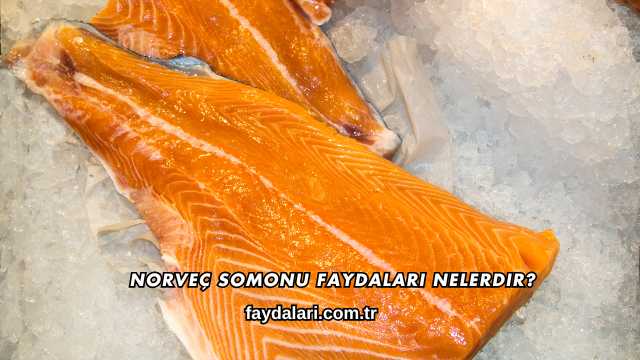 Norveç Somonu Faydaları Nelerdir?
