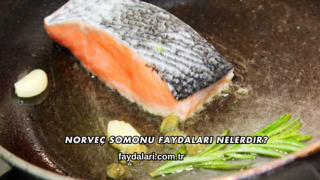 Norveç Somonu Faydaları Nelerdir?